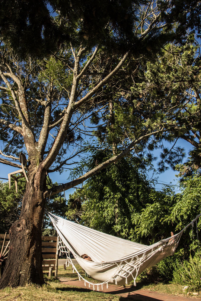 Negrita Hostel La Barra 外观 照片